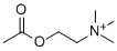 Acétylcholine