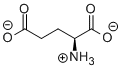 Glutamate